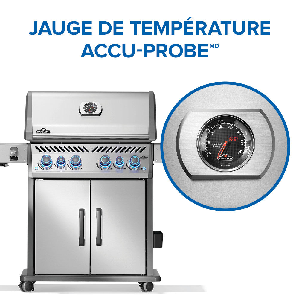 Rogue® PRO-S 525 Propane Gas Grill with Infrared Side and Rear Burners, Stainless Steel