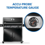 Rogue® PRO 625 Propane Gas Grill with Infrared Side Burner, Black