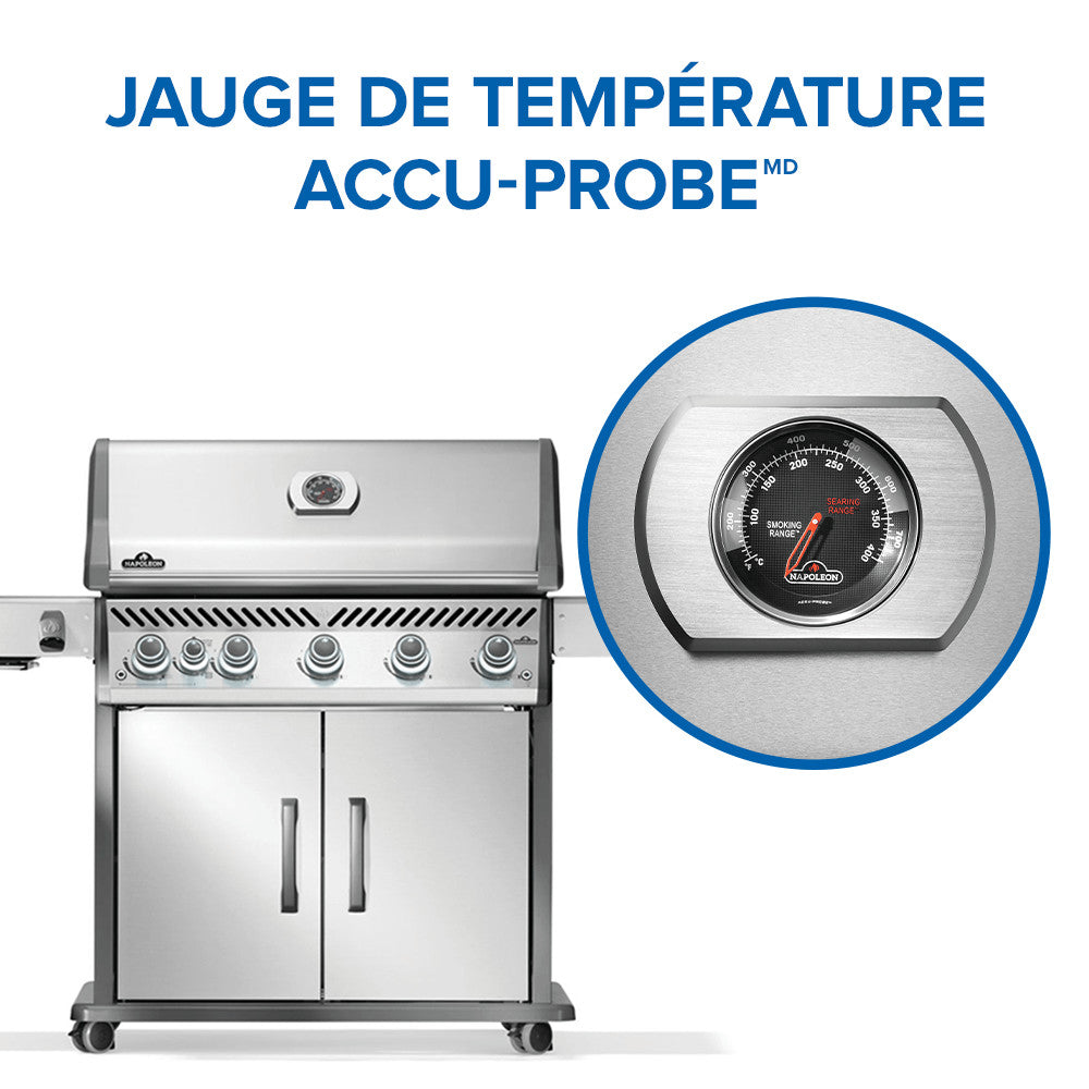 Rogue® PRO 625 Propane Gas Grill with Infrared Side Burner, Stainless Steel