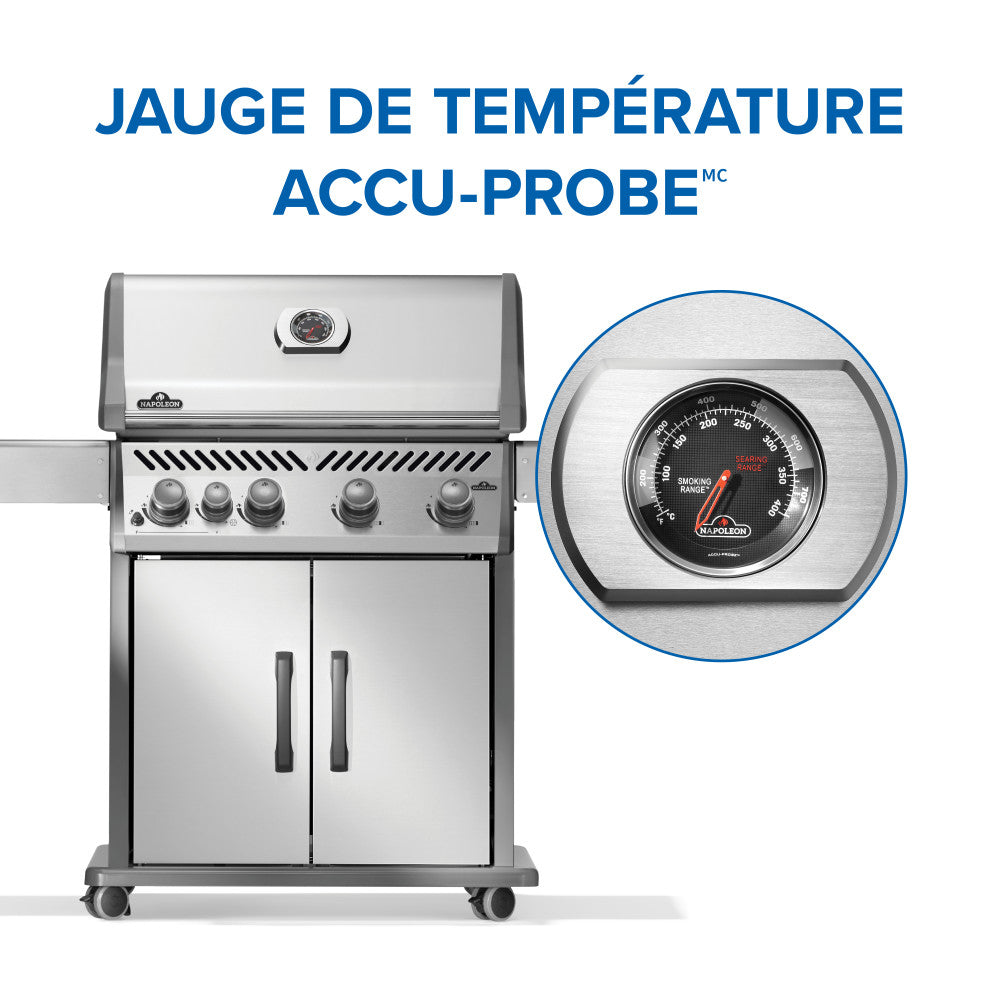 Rogue® 525 Natural Gas Grill with Range Side Burner, Stainless Steel