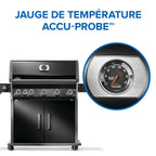 Rogue® PRO 625 Propane Gas Grill with Infrared Side Burner, Black
