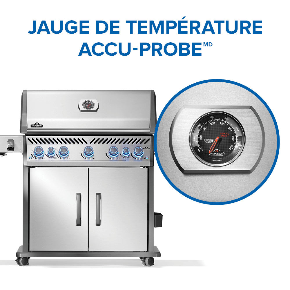 Rogue® PRO-S 625 Natural Gas Grill with Infrared Side and Rear Burners, Stainless Steel