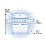 Prestige® 665 Natural Gas Grill with Infrared Side and Rear Burners, Stainless Steel