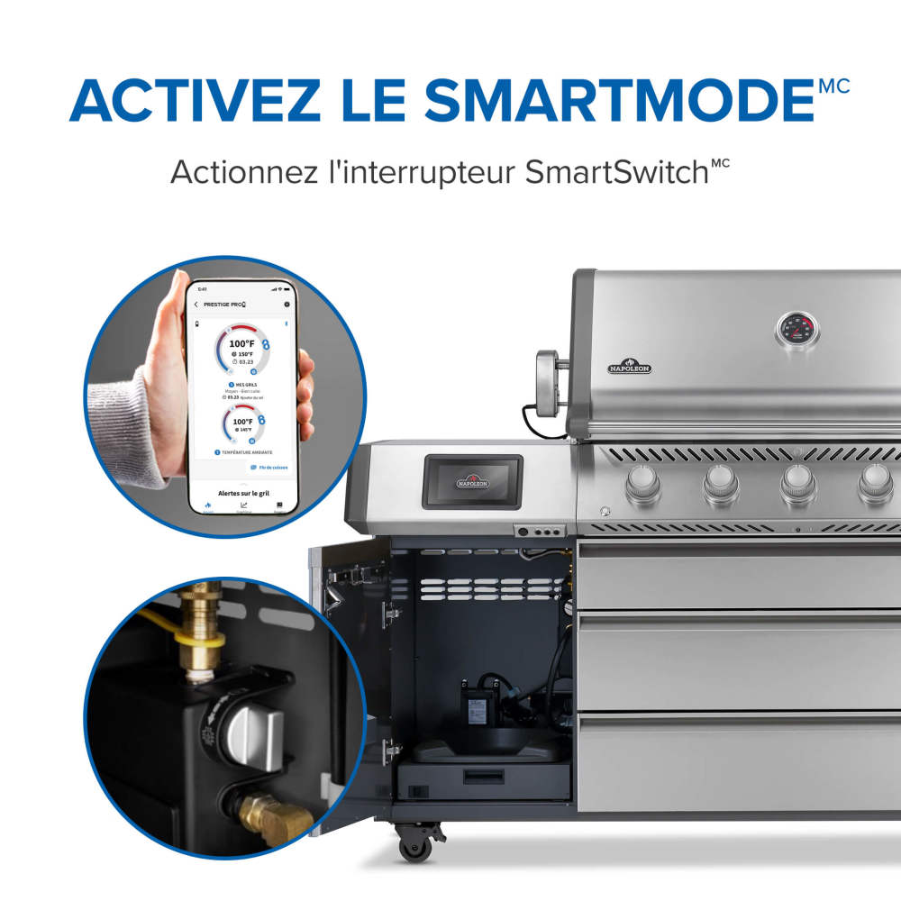 Prestige® PRO 665 Elite Natural Gas Grill with Smart Technology & Electric Smoker Box