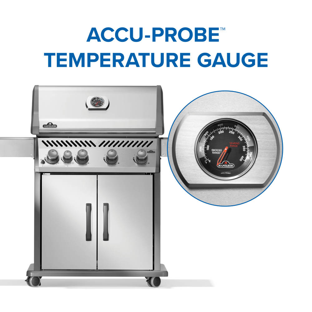 Rogue® 525 Natural Gas Grill with Range Side Burner, Stainless Steel