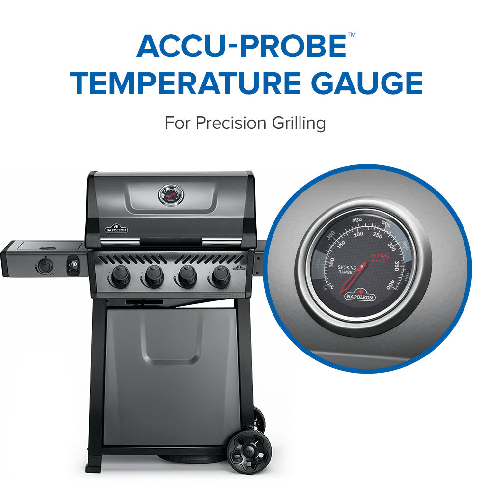 Freestyle™ 425 Propane Gas Grill with Range Side Burner, Graphite Grey