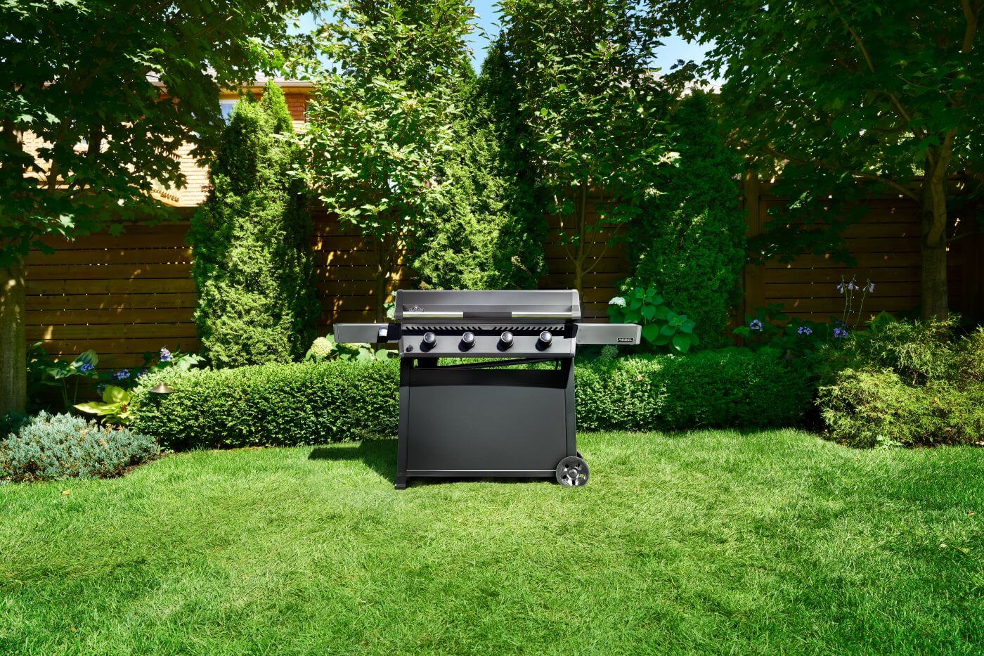 Plancha Rebel de 36 po, surface de cuisson en acier inoxydable résistante à la rouille, gaz naturel