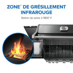 Rogue® PRO 625 Propane Gas Grill with Infrared Side Burner, Black