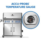 Rogue® PRO-S 625 Natural Gas Grill with Infrared Side and Rear Burners, Stainless Steel