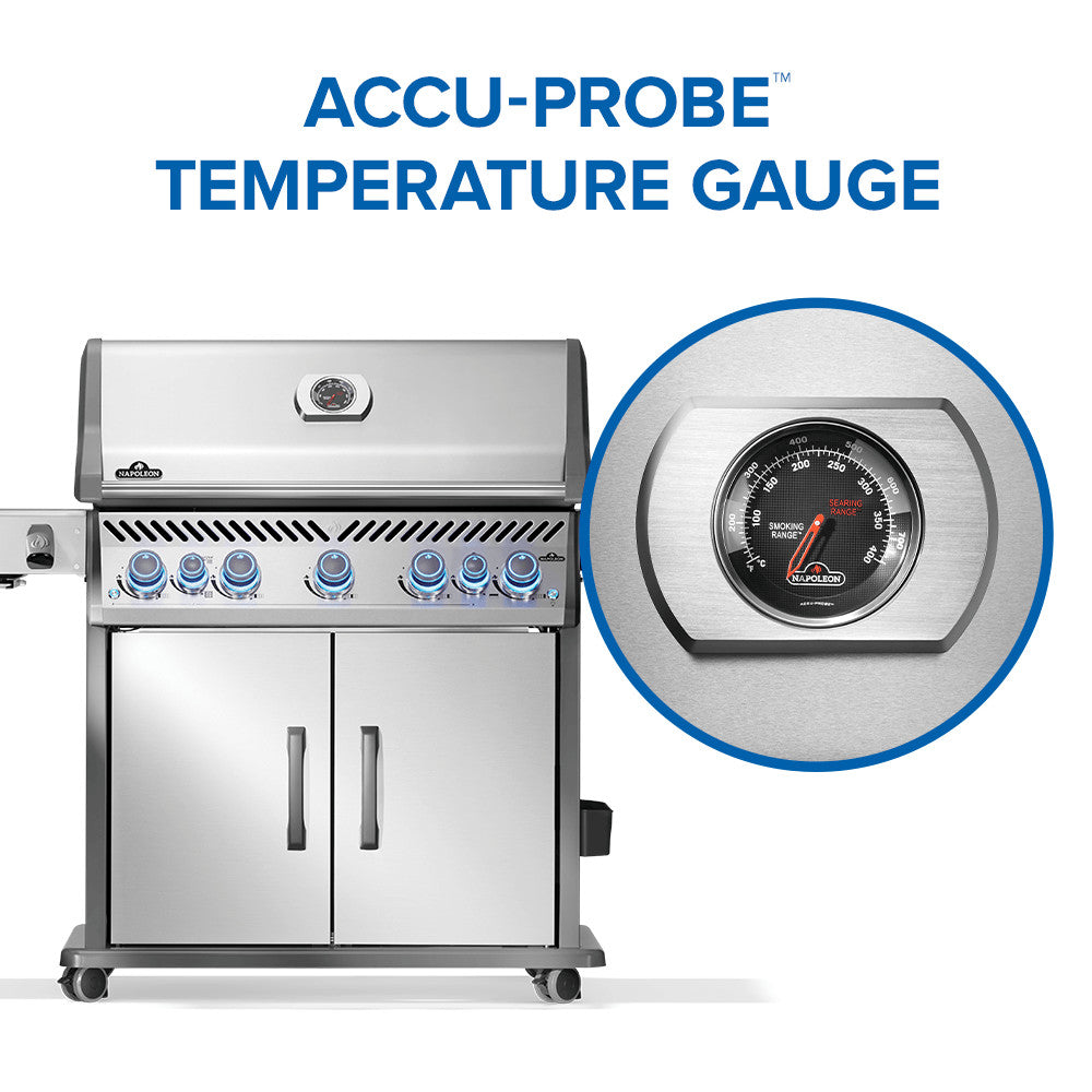 Rogue® PRO-S 625 Natural Gas Grill with Infrared Side and Rear Burners, Stainless Steel