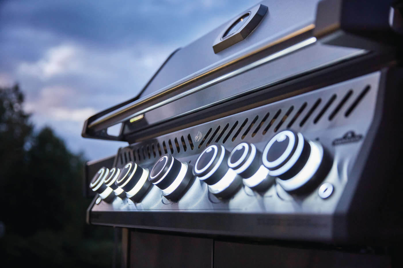 Rogue® SE 625 Propane Gas Grill with Infrared Rear and Side Burners, Stainless Steel