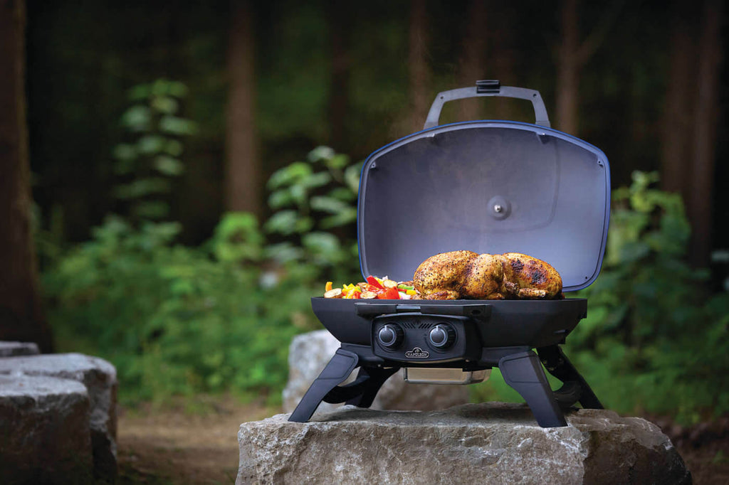 TravelQ™ 285 Portable Propane Gas Grill, Blue