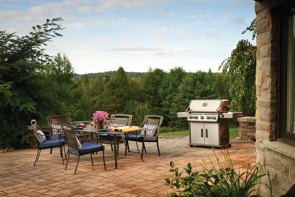 Rogue® SE 625 Propane Gas Grill with Infrared Rear and Side Burners, Stainless Steel