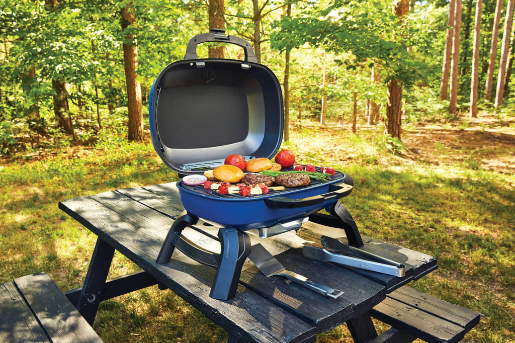 TravelQ™ 240 Portable Propane Gas Grill, Blue