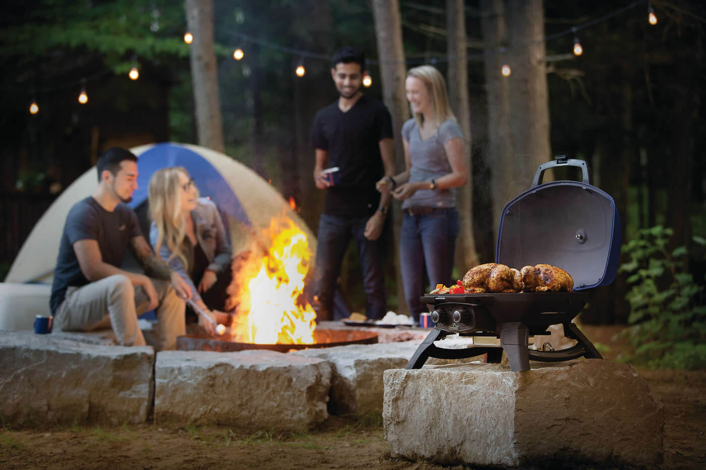TravelQ™ 285 Portable Propane Gas Grill, Blue