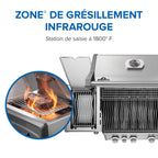 Rogue® PRO 425 Propane Gas Grill with Infrared Side Burner, Stainless Steel